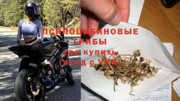амф Алзамай