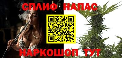 apvp Бийск