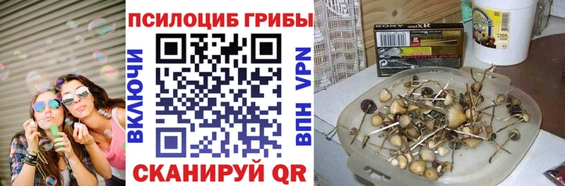 Галлюциногенные грибы Psilocybine cubensis  купить закладку  Каменск-Уральский 