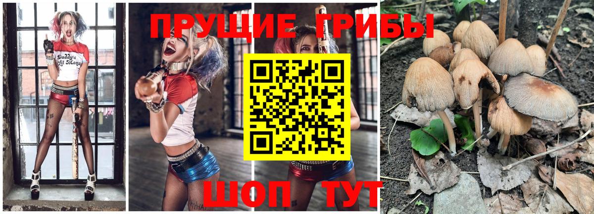 Псилоцибиновые грибы мицелий Каменск-Уральский